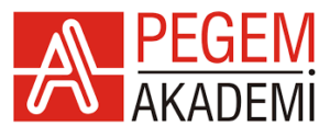 PEGEM AKADEMİ