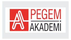 Pegem Akademi